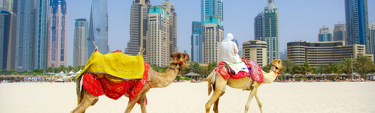 06 Días Viaje De Dubái con Al Ain